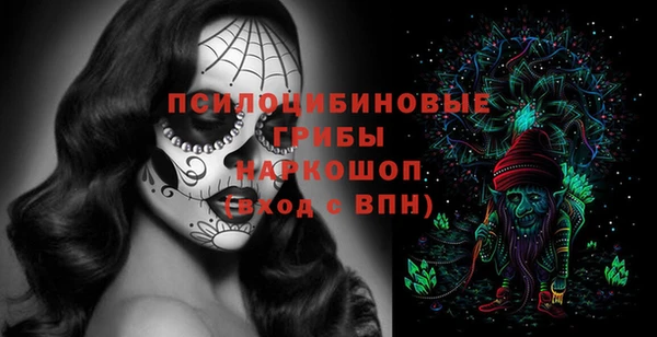 шишки Абдулино