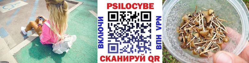 Псилоцибиновые грибы Cubensis  Кирс 